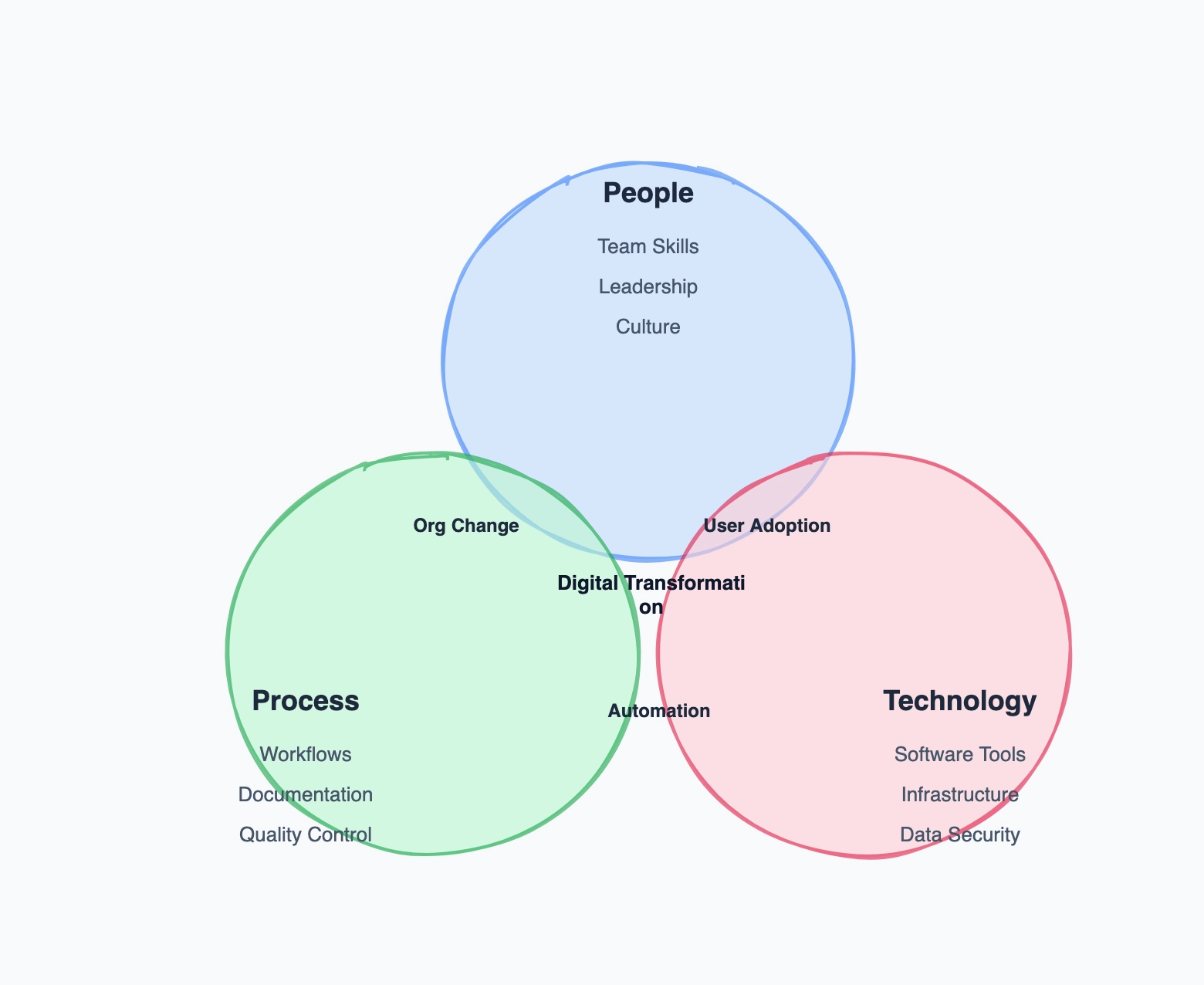 Venn Diagram